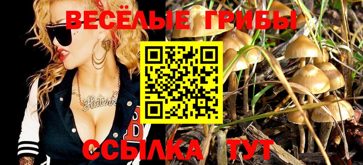 Псилоцибиновые грибы Psilocybine cubensis  Вход с VPN  Псилоцибиновые грибы GOLDEN TEACHER  Кемерово 